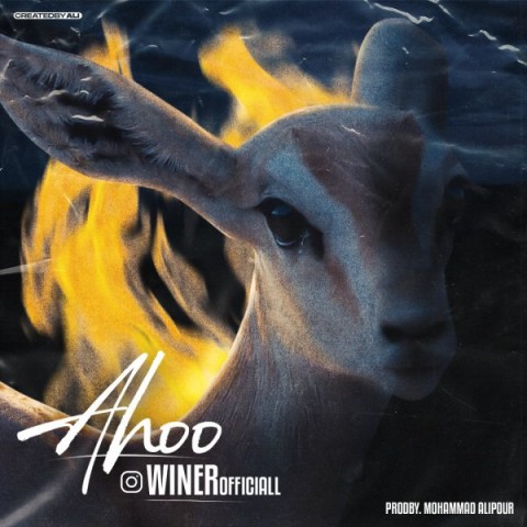 Winer – Ahoo